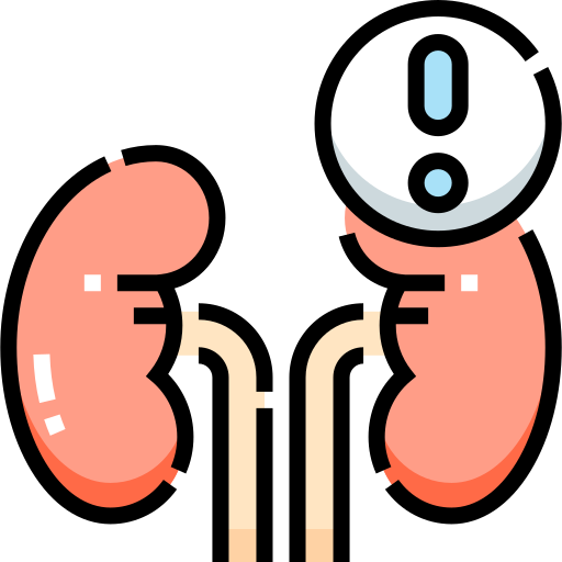 Ícone Doença Renal Crônica